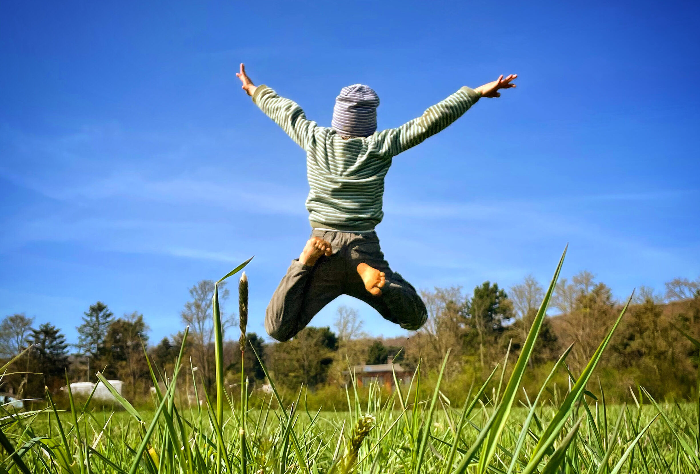 Sprung 2 Scaled E1773790855788