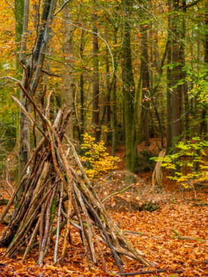 standortsuche standortsuche